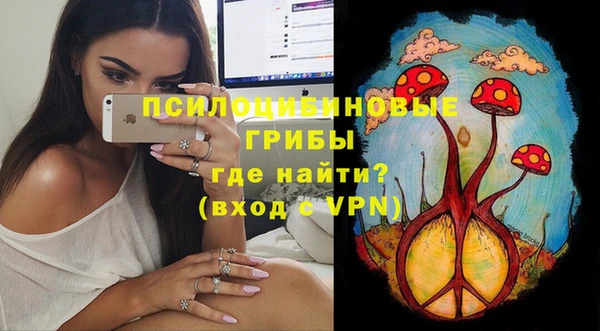 твердый Вязьма