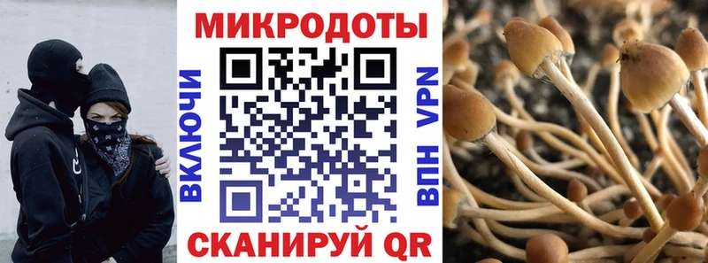 Галлюциногенные грибы мицелий  Купить где  Лермонтов 