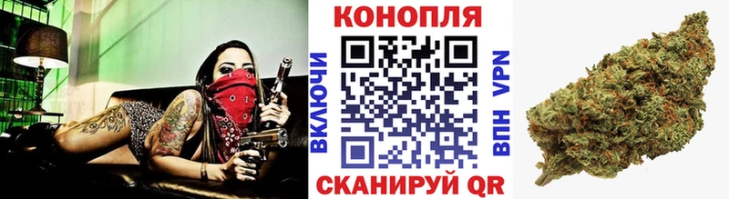 Купить  Лермонтов  Бошки марихуана VHQ 